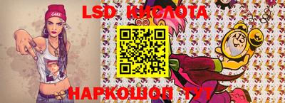 гашик Моздок
