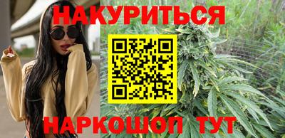гашик Моздок