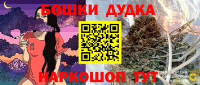 гашик Моздок