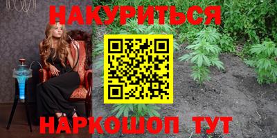 гашик Моздок