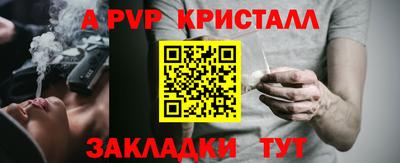 гашик Моздок