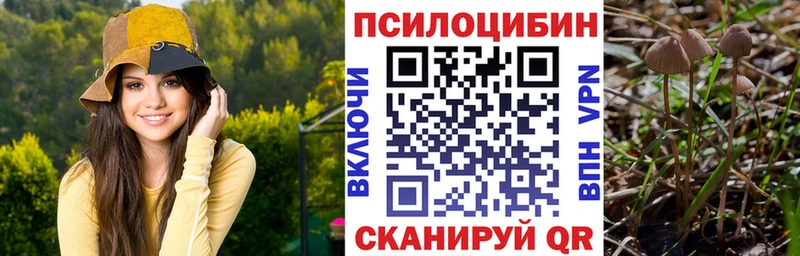 Галлюциногенные грибы Cubensis  Чебаркуль 