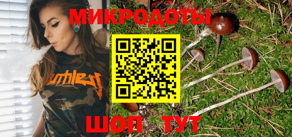 Галлюциногенные грибы Magic Shrooms  Вход с VPN  Чебаркуль 